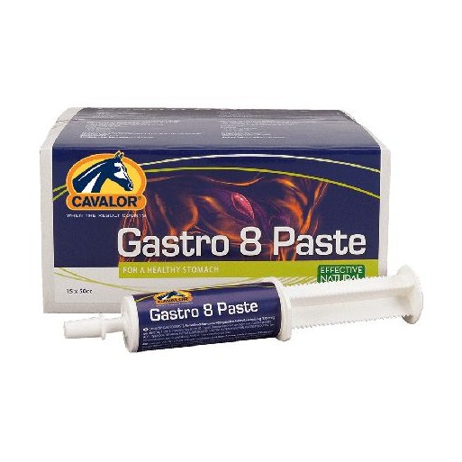 Gastro aid paste
