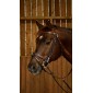 Flat flash bridle with snaps